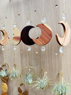Crescent Moon with Crystal Prisms Air Plant Hanger