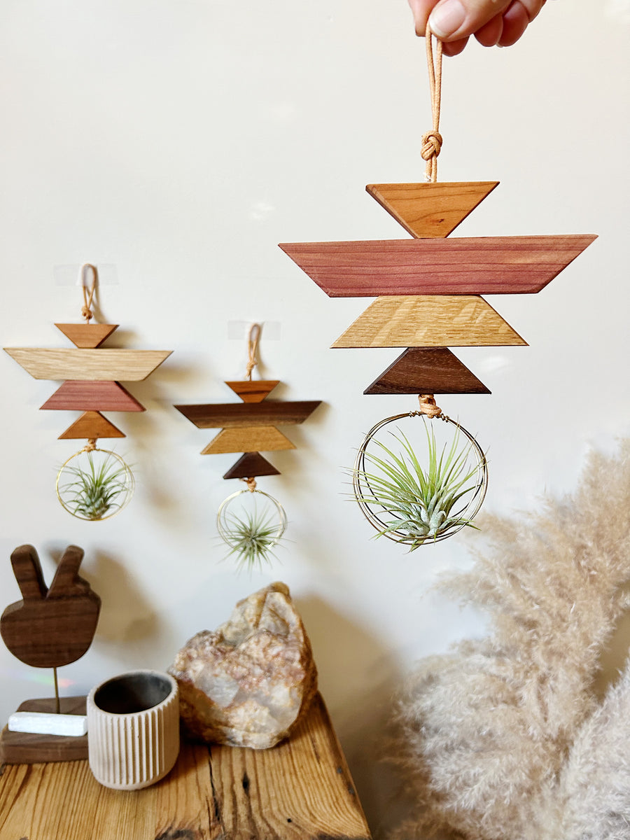 Hanging Triangles x2 Air Plant Hanger – Wildly Urban