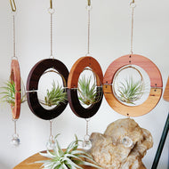 Golden hOur + Crystal Prism Suncatcher Air Plant Hanger