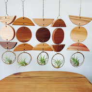 Mini 3pc Shapes Air Plant Wall Hanging