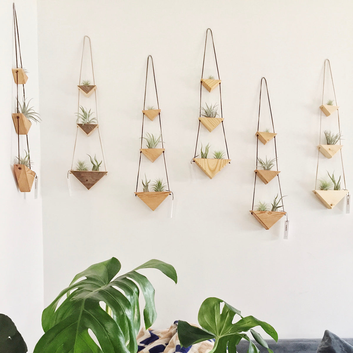 Hanging Triangles x2 Air Plant Hanger – Wildly Urban