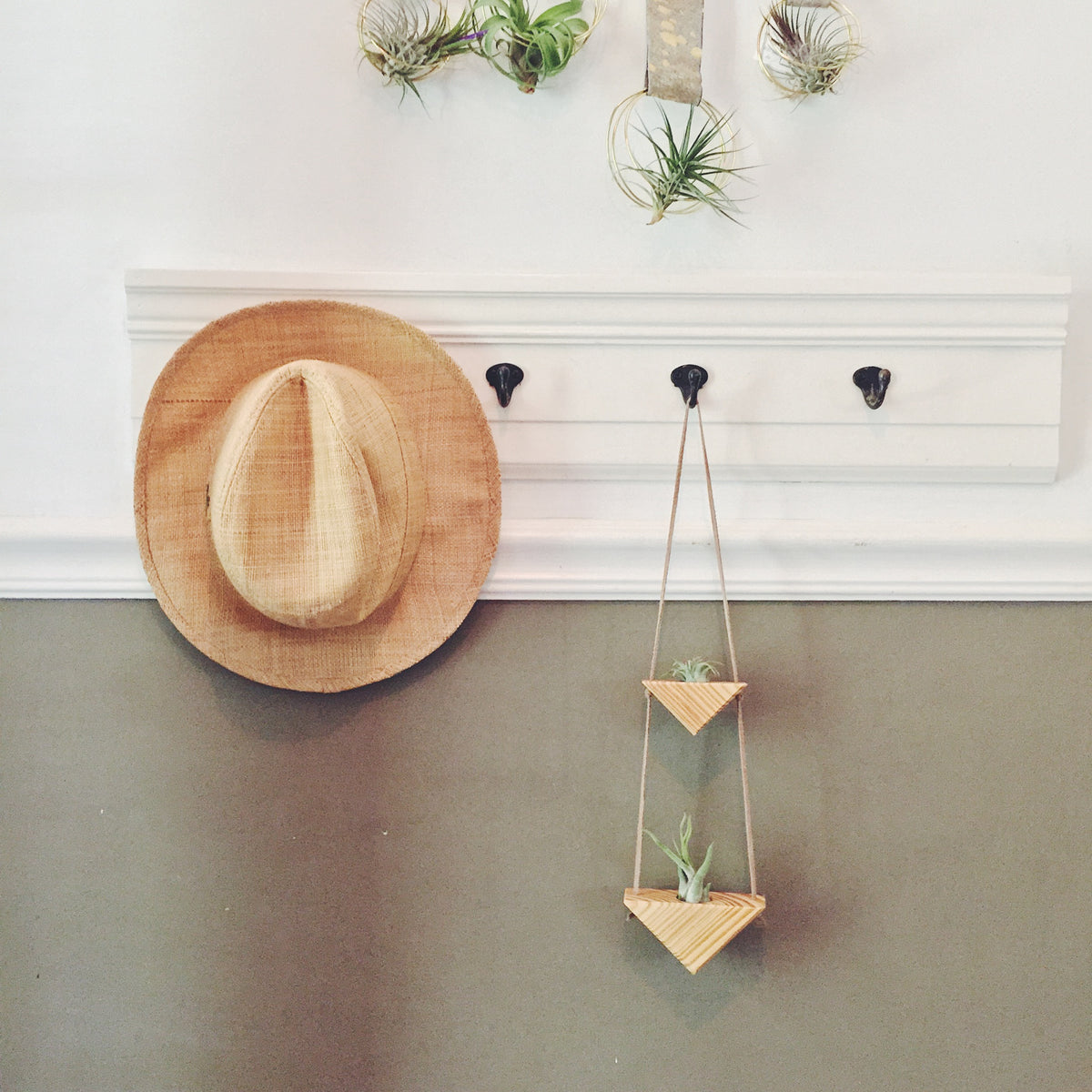 Hanging Triangles x3 Air Plant Hanger – Wildly Urban