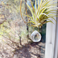 Crystal Prism Suncatcher