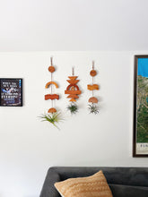 Modern Mix Air Plant Hanger no.070