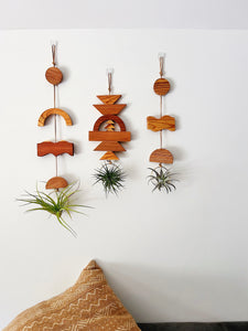 Modern Mix Air Plant Hanger - Sun, Water, Earth