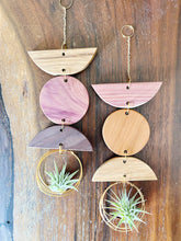 Mini Shapes Air Plant Wall Jewelry - no.008