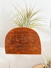 Air Plant Magnet