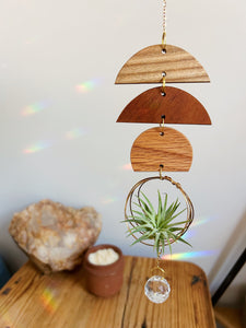 Mini Shapes Air Plant Hanger + Suncatcher - no.001