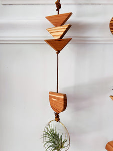 Modern Mix Air Plant Hanger no.066 Two Tier