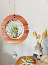 Golden hOur + Crystal Prism Suncatcher Air Plant Hanger