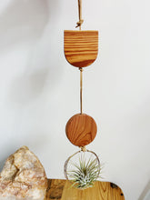 Modern Mix Air Plant Hanger no.072 Two Tier