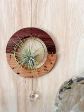 GOlden hOur + crystal suncatcher - Walnut + Hickory