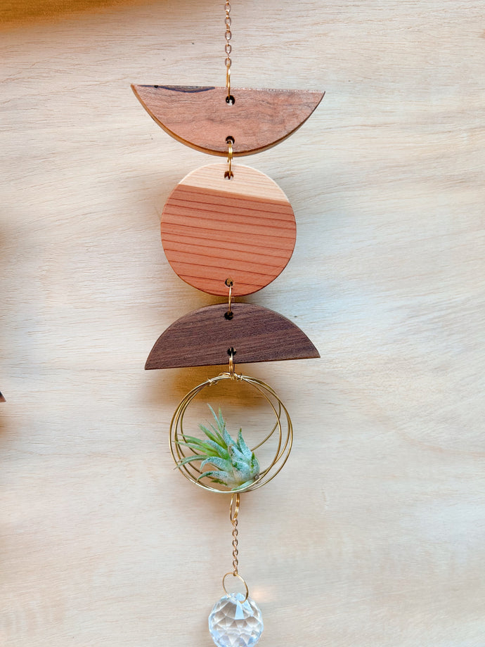 Mini 3pc Shapes Air Plant Hanger + Crystal Prism Suncatcher