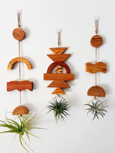 Modern Mix Air Plant Hanger no.071