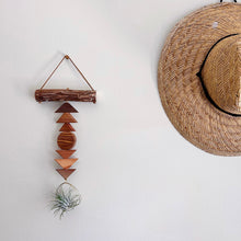 Drifting Shapes Air Plant Wall Hanging no. 002