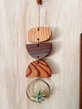 Mini Shapes Air Plant Hanger - no.013