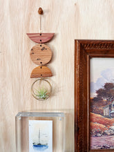 Mini Shapes Air Plant Hanger - no.014