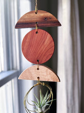 Mini Shapes Air Plant Hanger + Suncatcher - no.010