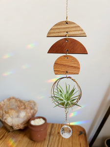 Mini Shapes Air Plant Hanger + Suncatcher - no.001