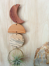 Air Plant Wall Art - To the Moon no.075