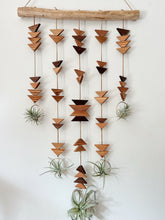 Modern Southwest Air Plant Wall Hanging - Across the Mesa