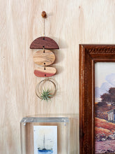 Mini Shapes Air Plant Hanger - no.012