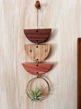 Mini Shapes Air Plant Hanger - no.011