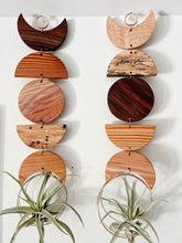 Air Plant Wall Hanging - Moon Phases in Color no.012