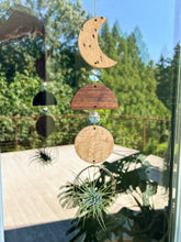 Modern Moon 3pc Air Plant Hanger Suncatcher - no. 003