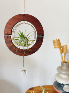 Golden hOur + Crystal Prism Suncatcher Air Plant Hanger