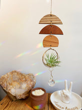 Mini Shapes Air Plant Hanger + Suncatcher - no.001