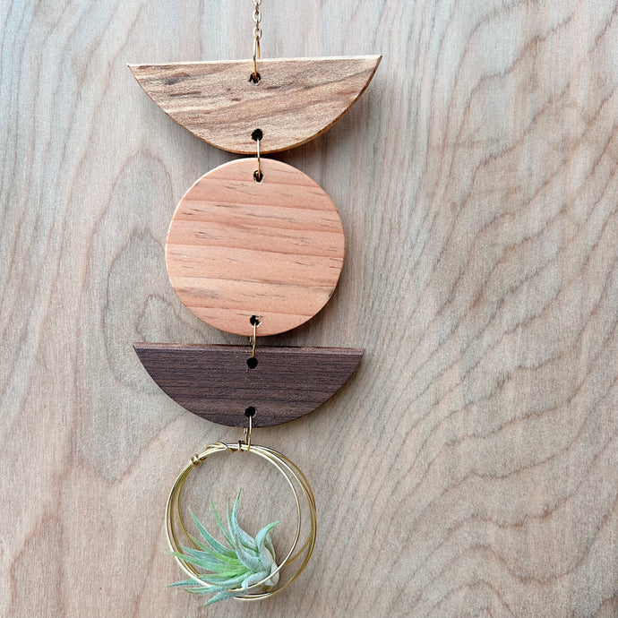 Mini 3pc Shapes Air Plant Wall Hanging