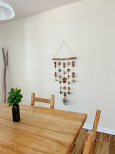 Modern Southwest Air Plant Wall Hanging - Across the Mesa