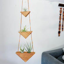 Hanging Triangles x3 Air Plant Hanger