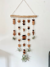 Modern Southwest Air Plant Wall Hanging - Across the Mesa