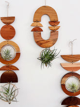 Arches Air Plant Wall Jewelry - no.013