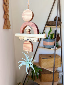 Drifting Arches Air Plant Wall Hanging no. 043