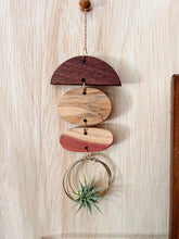 Mini Shapes Air Plant Hanger - no.012