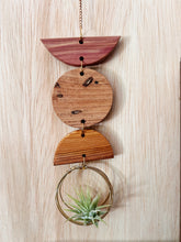 Mini Shapes Air Plant Hanger - no.014