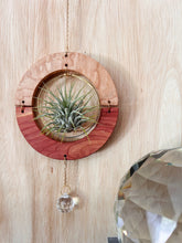 GOlden hOur + crystal suncatcher - Maple + Cedar