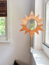 Sun Air Plant Hanger no.030