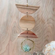 Mini 3pc Shapes Air Plant Wall Hanging