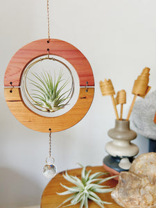 Golden hOur + Crystal Prism Suncatcher Air Plant Hanger