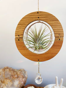 GOlden hOur + Crystal Suncatcher - Oak + Pine