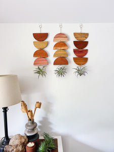 Air Plant Wall Jewelry - Rise and Set