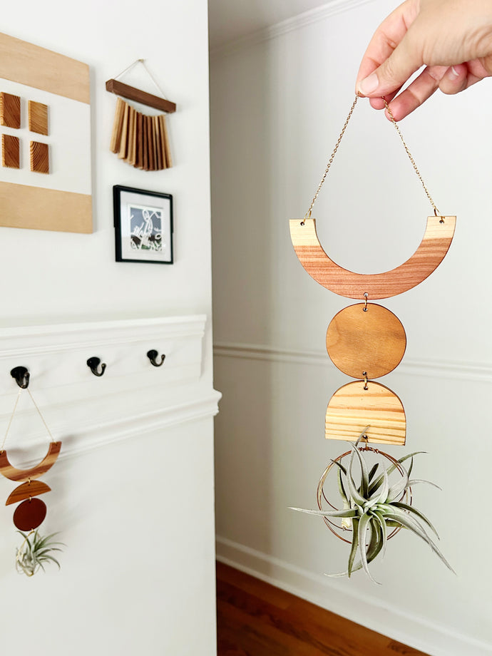 Air Plant Wall Jewelry - Smile no.005