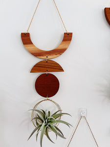 Air Plant Wall Jewelry - Smile no.004