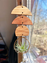 Mini Shapes Air Plant Hanger + Suncatcher - no.001