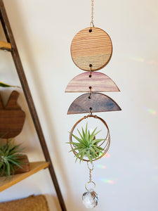 Mini Shapes Air Plant Hanger + Suncatcher - no.003