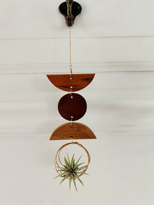 Mini Shapes Air Plant Wall Jewelry - no.007